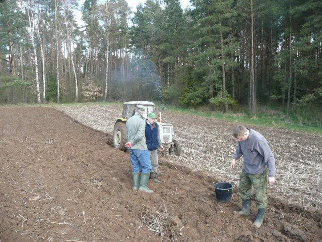 TOPINAMBUR 19.04.08